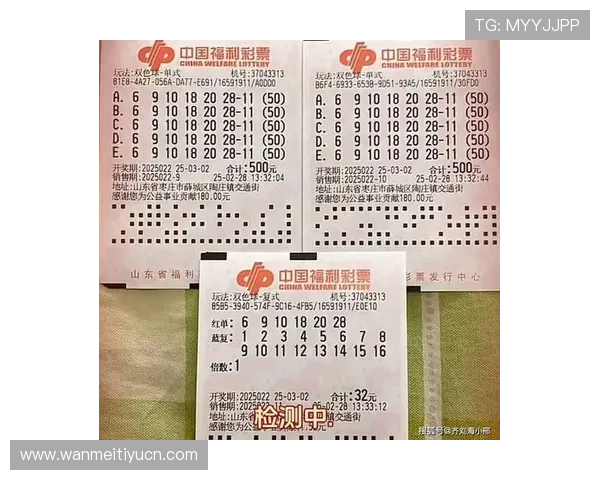 优质双色球正规网上购买平台推荐，确保每一次投注都安全可靠无后顾之忧